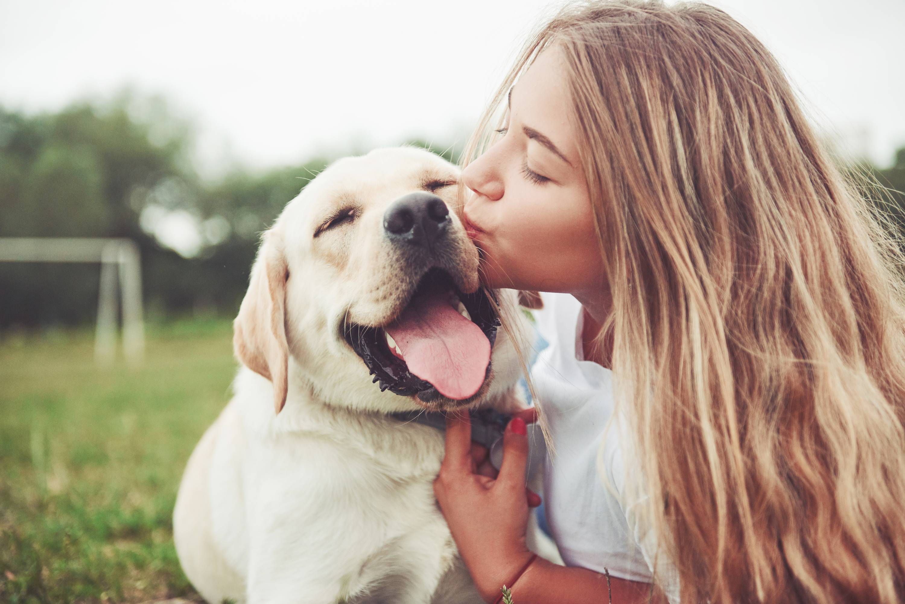 Εικόνα με ένα όμορφο κορίτσι να αγκαλιάζει ένα χαριτωμένο σκυλί σε ένα πάρκο πάνω στο γρασίδι.